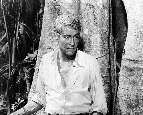 This is an image of Photograph & Poster of Peter Otoole 102127