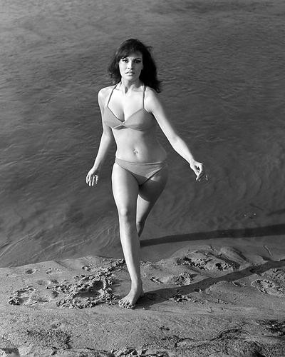 This is an image of Photograph & Poster of Raquel Welch 102149