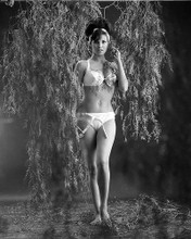 This is an image of Photograph & Poster of Raquel Welch 102150