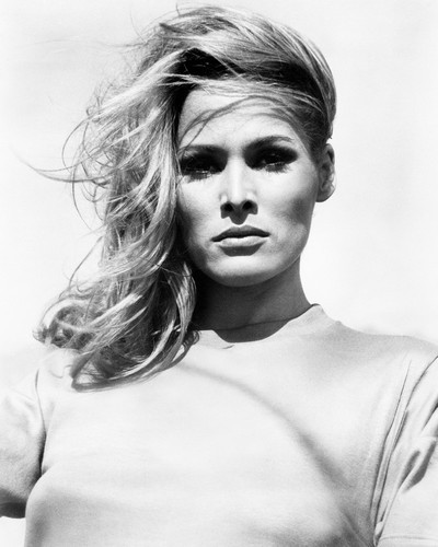 This is an image of Photograph & Poster of Ursula Andress 102307