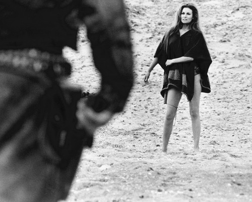 This is an image of Photograph & Poster of Raquel Welch 102321