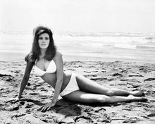 This is an image of Photograph & Poster of Raquel Welch 102370