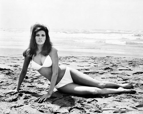 This is an image of Photograph & Poster of Raquel Welch 102370