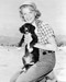 This is an image of Photograph & Poster of Anne Francis 102371