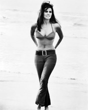 This is an image of Photograph & Poster of Raquel Welch 102398