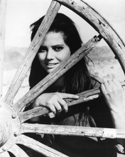 This is an image of Photograph & Poster of Claudia Cardinale 102430