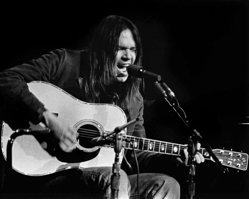 This is an image of Photograph & Poster of Neil Young 102465