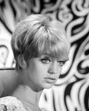 This is an image of Photograph & Poster of Goldie Hawn 102603