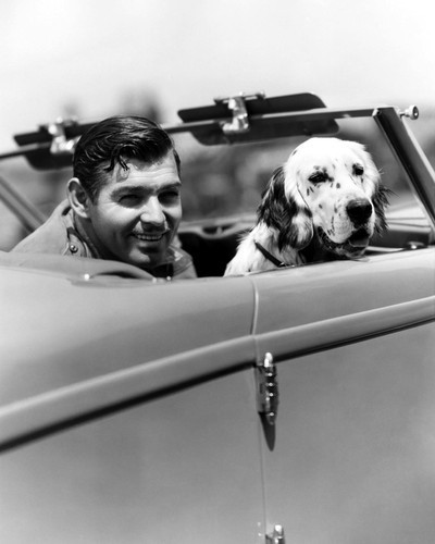 This is an image of Photograph & Poster of Clark Gable 102629