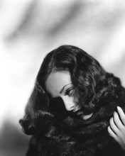 This is an image of Photograph & Poster of Paulette Goddard 102633