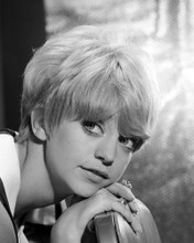 This is an image of Photograph & Poster of Goldie Hawn 102700