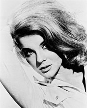 This is an image of 160005 Ann-Margret Photograph & Poster