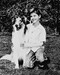 This is an image of 160082 Lassie Photograph & Poster