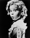 This is an image of 160153 Shirley Temple Photograph & Poster