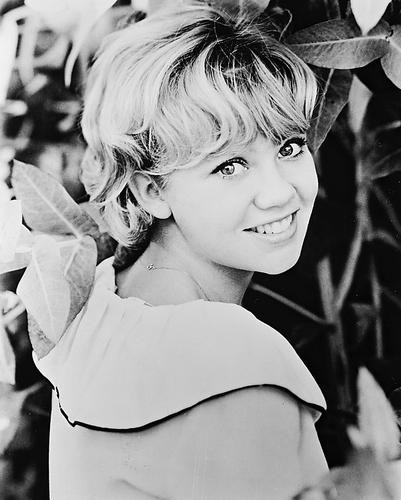 This is an image of 160758 Hayley Mills Photograph & Poster