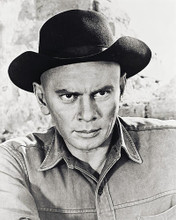 This is an image of 161007 Yul Brynner Photograph & Poster