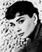 This is an image of 161059 Audrey Hepburn Photograph & Poster