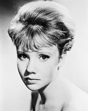 This is an image of 161085 Hayley Mills Photograph & Poster