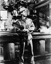 This is an image of 161235 Alan Ladd Photograph & Poster