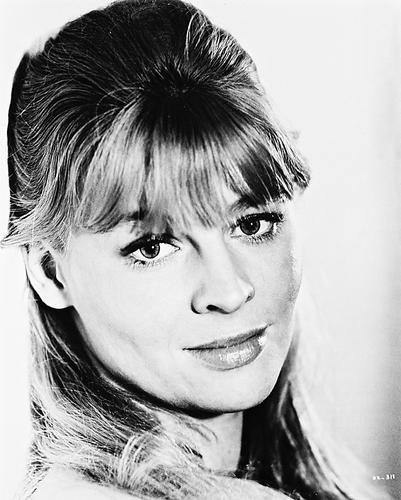 This is an image of 161335 Julie Christie Photograph & Poster