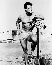 This is an image of 161967 Steve Reeves Photograph & Poster