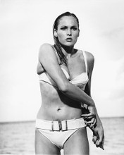 This is an image of Photograph & Poster of Ursula Andress 162000