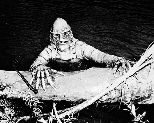 This is an image of 162057 The Creature from the Black Lagoon Photograph & Poster