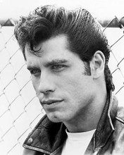This is an image of Photograph & Poster of John Travolta 162343