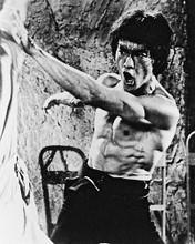 This is an image of 162463 Bruce Lee Photograph & Poster