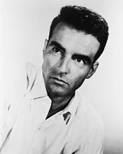 This is an image of 162774 Montgomery Clift Photograph & Poster