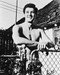 This is an image of 162835 Rock Hudson Photograph & Poster