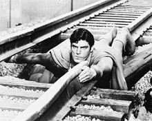 This is an image of 163052 Christopher Reeve Photograph & Poster