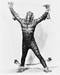This is an image of 163527 The Creature from the Black Lagoon Photograph & Poster