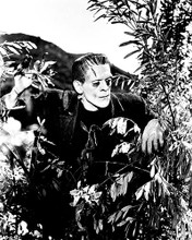 This is an image of 163535 Boris Karloff Photograph & Poster