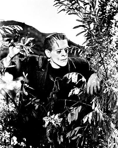 This is an image of 163535 Boris Karloff Photograph & Poster