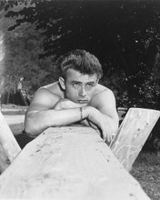 This is an image of 164223 James Dean Photograph & Poster