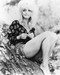 This is an image of 164249 Goldie Hawn Photograph & Poster