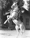 This is an image of 164518 The Lone Ranger Photograph & Poster