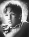 This is an image of 164540 Brad Renfro Photograph & Poster