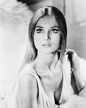 This is an image of 164714 Barbara Bouchet Photograph & Poster