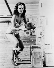 This is an image of 164819 Lynda Carter Photograph & Poster