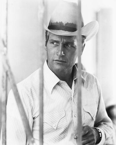 This is an image of 165026 Paul Newman Photograph & Poster