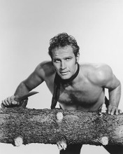 This is an image of 165212 Charlton Heston Photograph & Poster