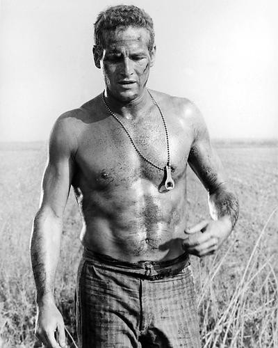 This is an image of 165239 Paul Newman Photograph & Poster