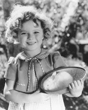 This is an image of 165363 Shirley Temple Photograph & Poster