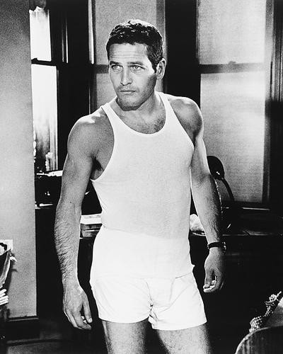 This is an image of 165444 Paul Newman Photograph & Poster