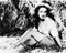 This is an image of 165900 Linda Darnell Photograph & Poster