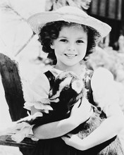 This is an image of 167161 Shirley Temple Photograph & Poster
