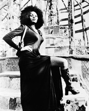 This is an image of 167310 Pam Grier Photograph & Poster