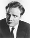 This is an image of 167368 Marlon Brando Photograph & Poster